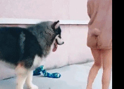 国际人28:全球视野下的社会责任与个人行动 国际人28:全球视野下的社会责任与个人行动