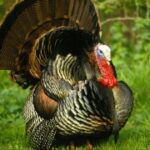 非凡娱乐官网的用户评价与真实体验分享 nmgeyp093s