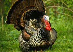 非凡娱乐官网的用户评价与真实体验分享 非凡娱乐官网的用户评价与真实体验分享