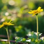 君临国际:成功企业的国际化战略与实践分享 rhhvl7